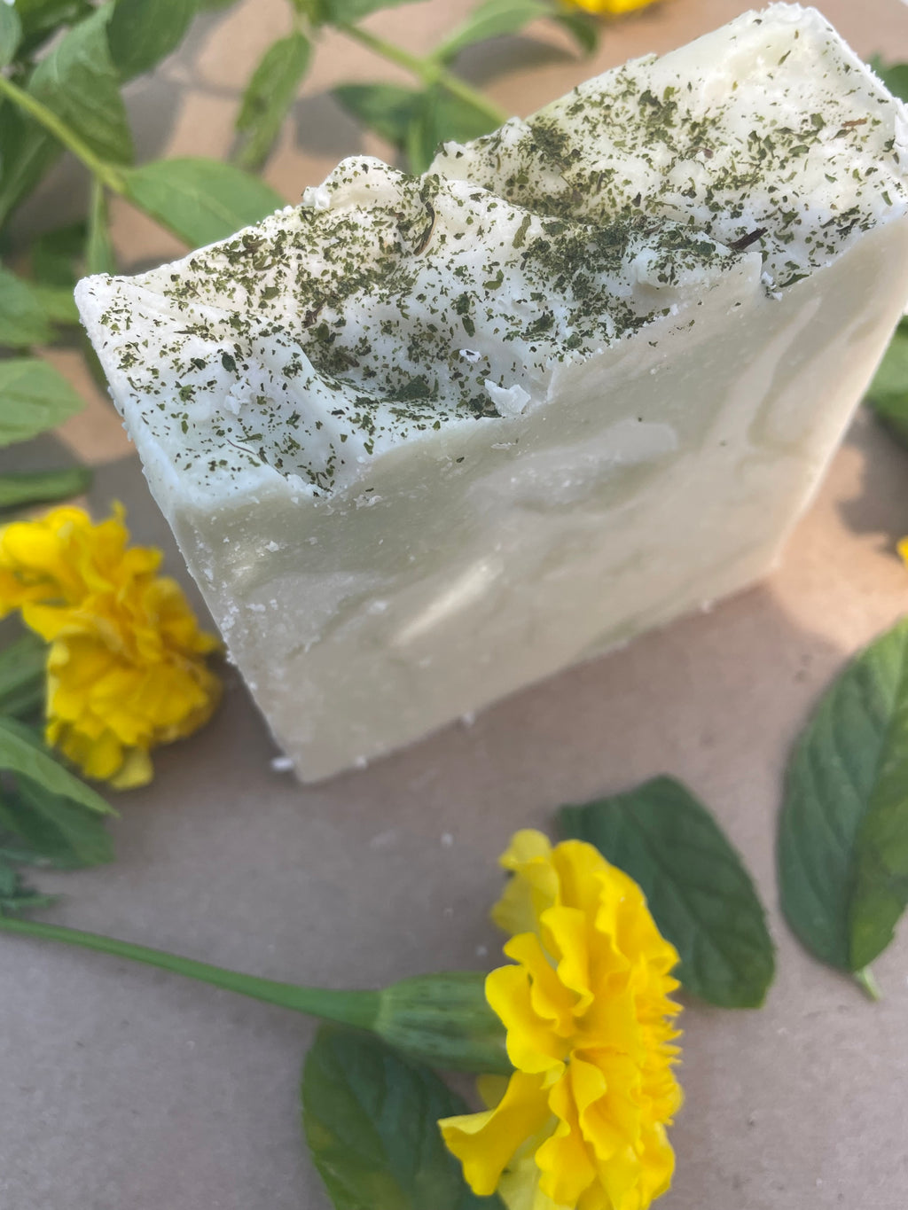 Abiding Joy Soap