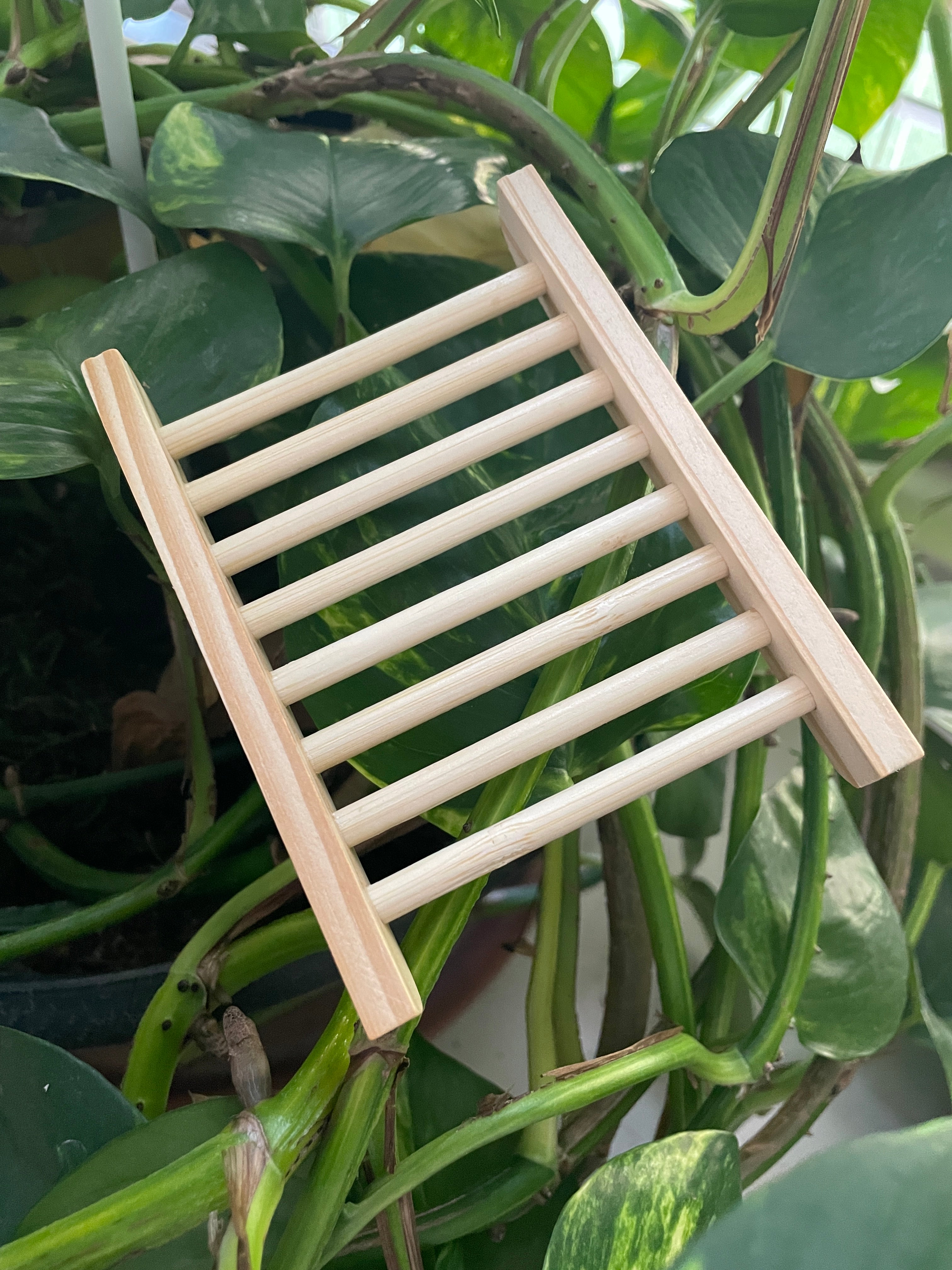Natural Wooden Soap Dish