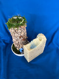 Selah Springs Soap