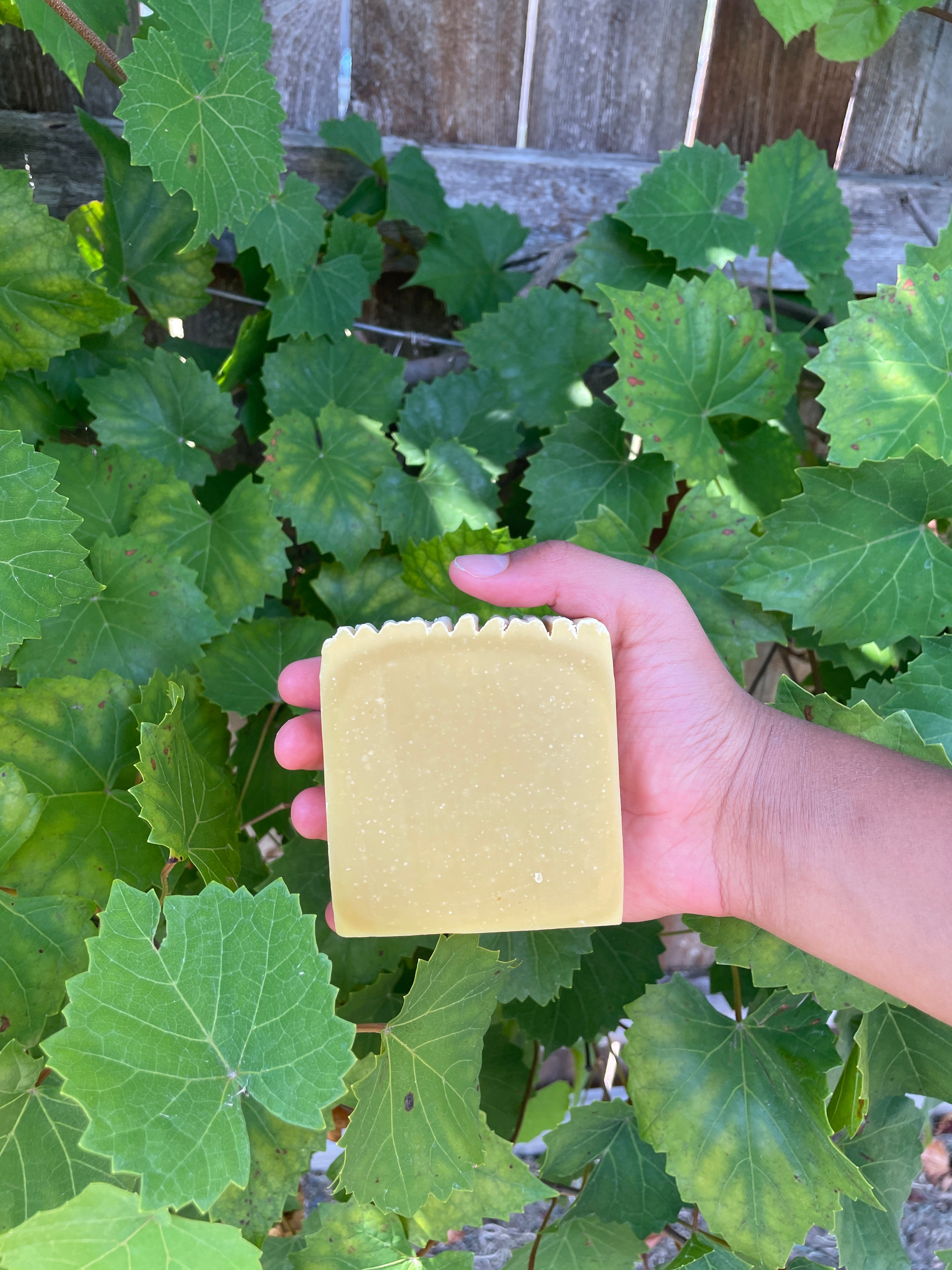 Pumpkin Pie Soap