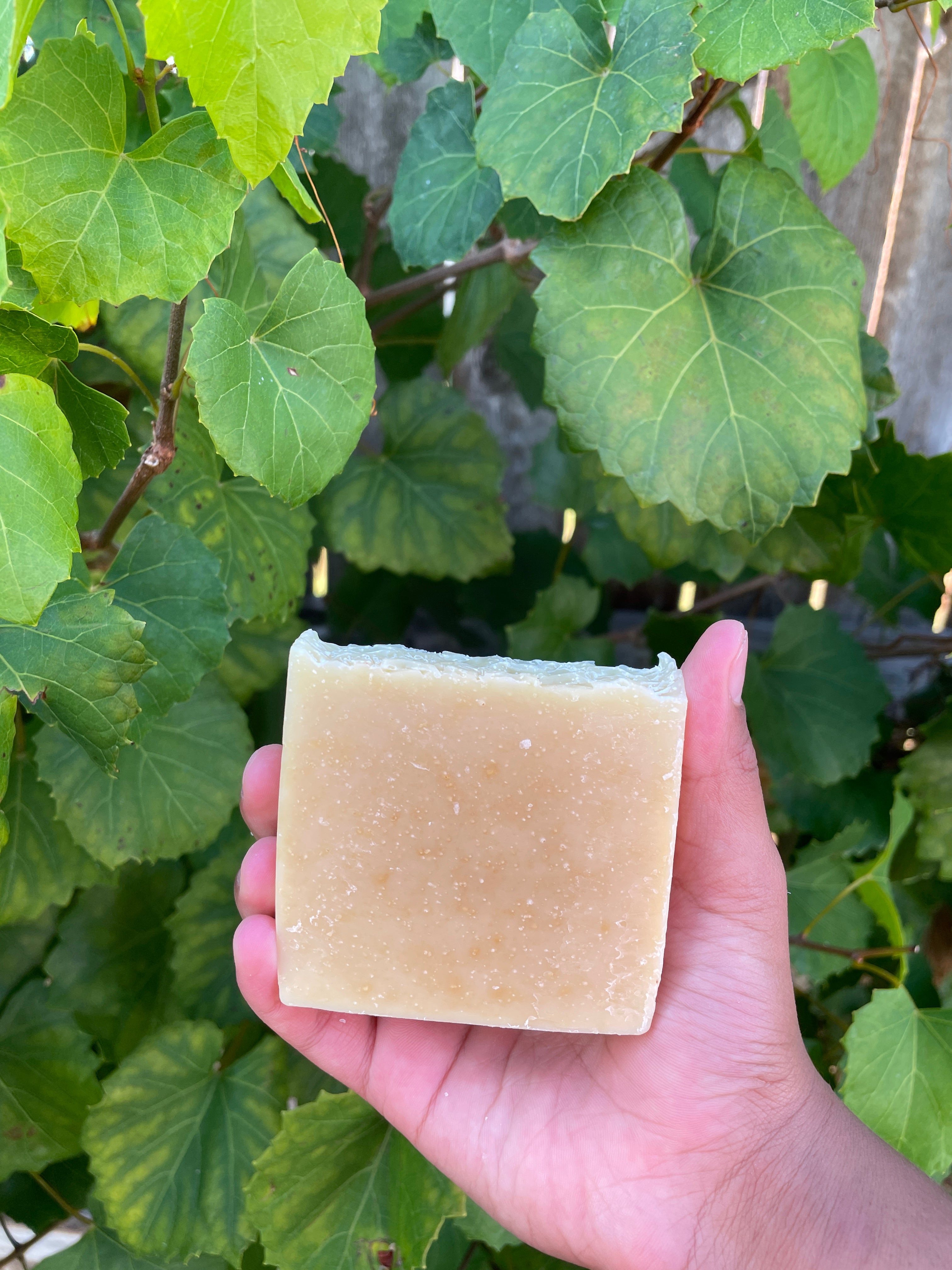 Bubbly Bee Soap- SCENTED with Essential OIls