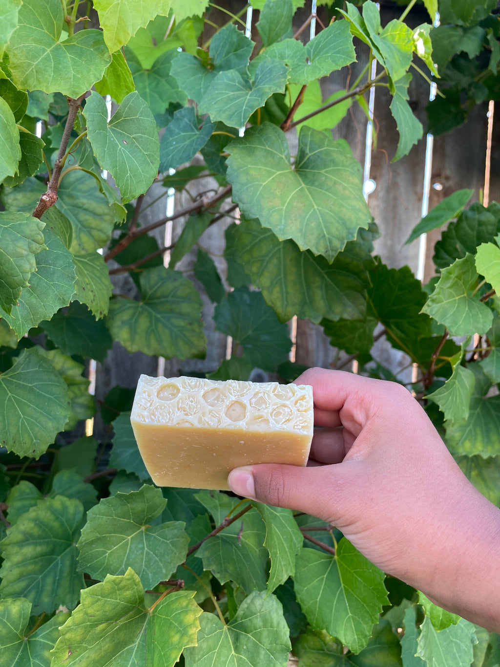 Bubbly Bee Soap- SCENTED with Essential OIls