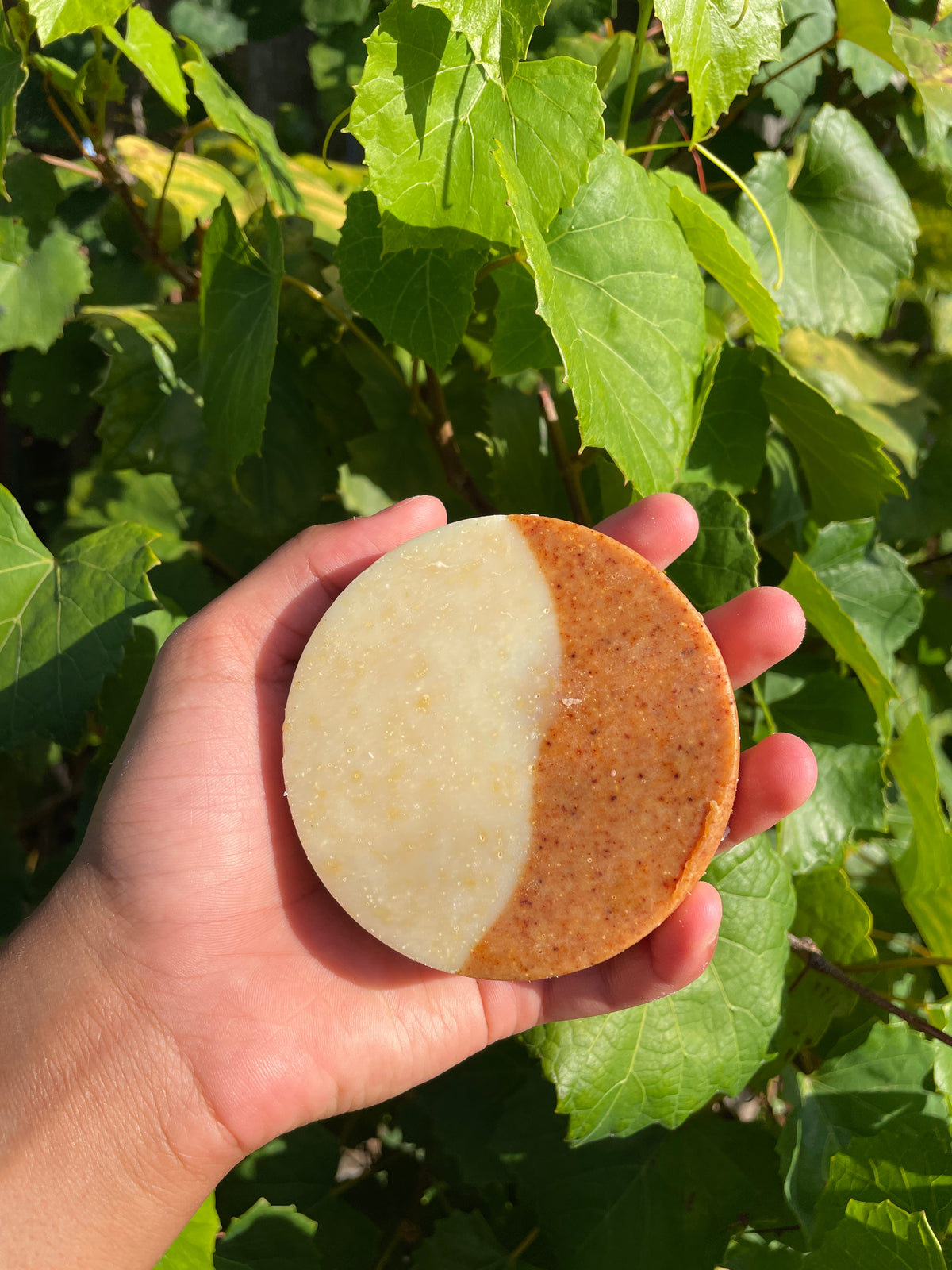 Milk & Manna Soap