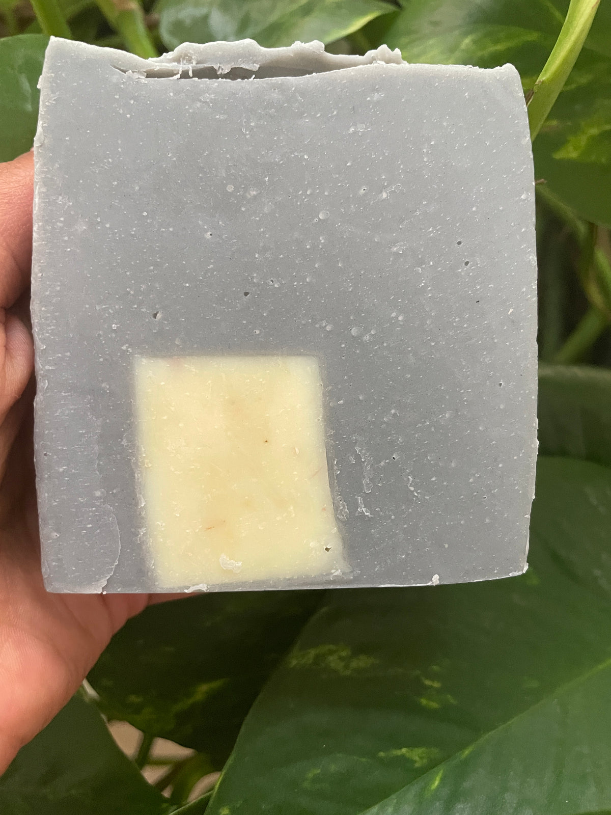Hidden Treasures Charcoal Soap