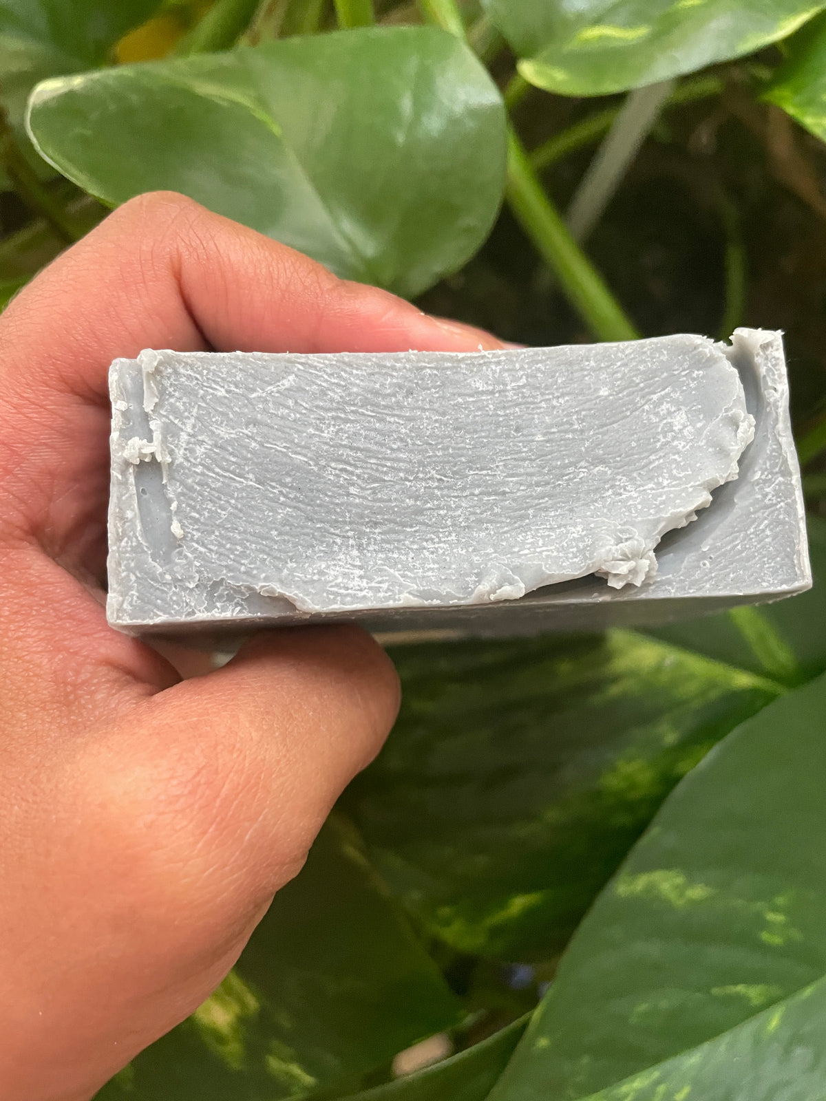 Hidden Treasures Charcoal Soap
