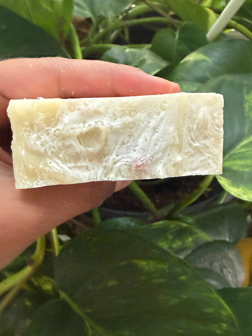 Heaven's Party Soap