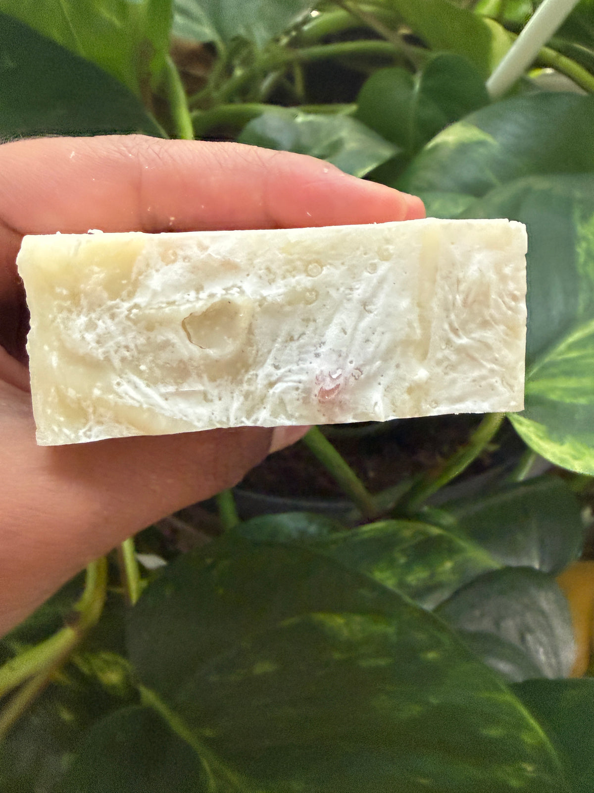 Heaven's Party Soap