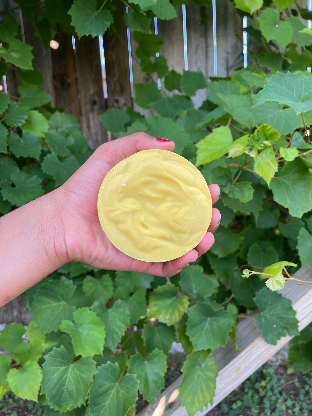 Pumpkin Pie Soap