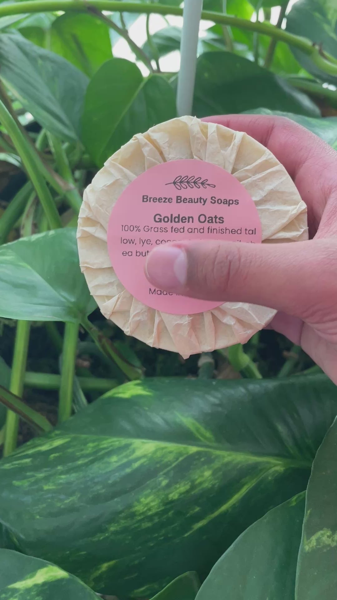 Golden Oats Soap